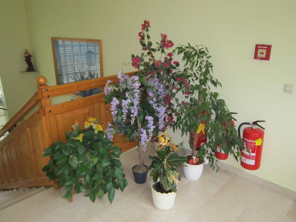 Waldpension Stachl Bromberg Экстерьер фото